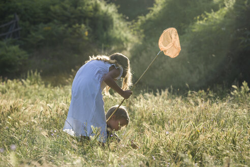 Zwei Kinder mit Schmetterlingsnetz auf einer Wiese - PAF000335