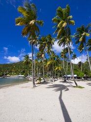 Caribbean, Saint Lucia, Marigot Bay, Beach with palms - AMF001792