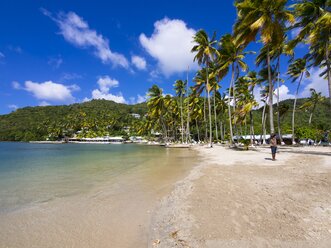 Caribbean, Saint Lucia, Marigot Bay, - AMF001793