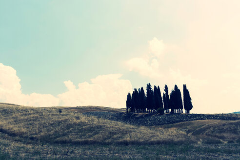 Italien, Toskana, San Quirico d'Orcia, Landschaft mit Zypressengruppe - PAF000338