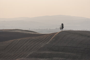 Italien, Toskana, San Quirico d'Orcia, Landschaft mit zwei Zypressen - PAF000340