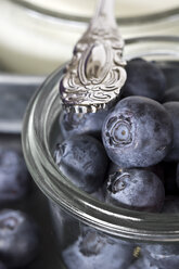 Fresh blueberries, close-up - YFF000023
