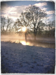 Schneelandschaft, Landshut, Deutschland - SARF000234