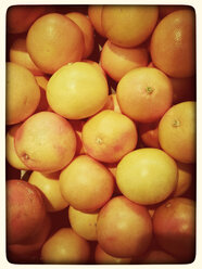 Orangen (Citrus sinensis), Supermarkt - CSF020837