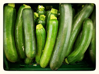 Zucchini (Cucurbita pepo subsp pepo convar, giromontiina), Supermarket, Germany - CSF020830