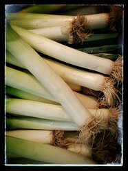 Lauch, Porree (Allium ampeloprasum), Supermarkt, Deutschland - CSF020826