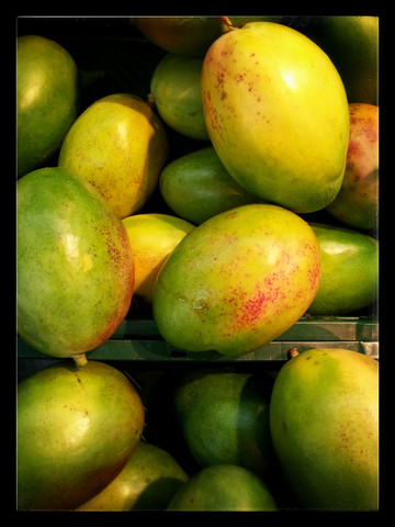 Mangos (Mangifera indica), Supermarkt, Deutschland, lizenzfreies Stockfoto