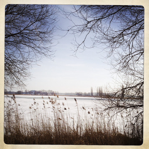 Fenster zur Natur: ein Blick auf die zugefrorene Havel durch Bäume und Schilf, Brandenburg, Deutschland., lizenzfreies Stockfoto