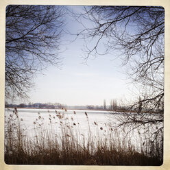 Fenster zur Natur: ein Blick auf die zugefrorene Havel durch Bäume und Schilf, Brandenburg, Deutschland. - ZMF000206