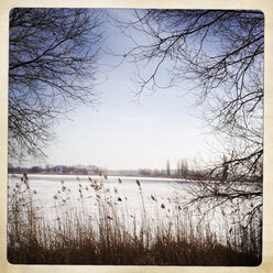 Window of nature: a view of the frozen Havel through trees and reeds, Brandenburg, Germany. - ZMF000206