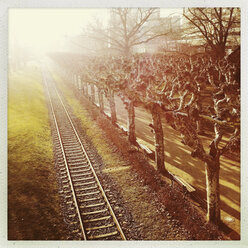 Bahngleise und Platanen am Main, Frankfurt, Hessen, Deutschland - MSF003236