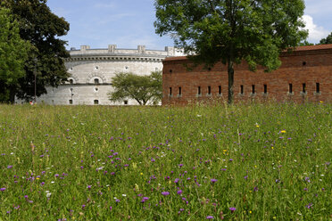 Deutschland, Bayern, Ingolstadt, Klenzepark, Triva Tower - LB000542