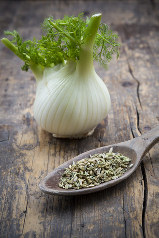 Fenchelknolle und Holzlöffel mit Fenchelsamen (Foeniculum vulgare) auf Holztisch, lizenzfreies Stockfoto