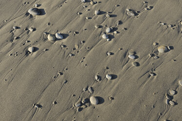 Pebbles on wet sandy beach, partial view - RUEF001166