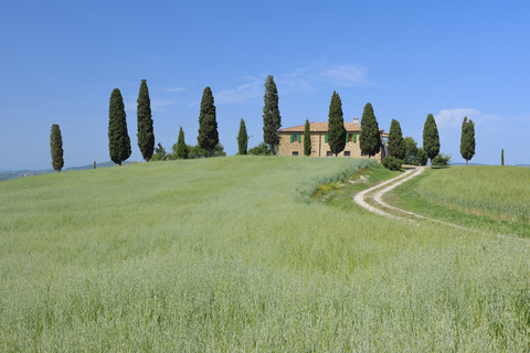 Italy, Tuscany, Siena Province, Val d'Orcia, Pienza, view to dirt road through fields with farmhouse and cypress trees stock photo