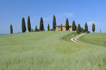 Italy, Tuscany, Siena Province, Val d'Orcia, Pienza, view to dirt road through fields with farmhouse and cypress trees - RUEF001193