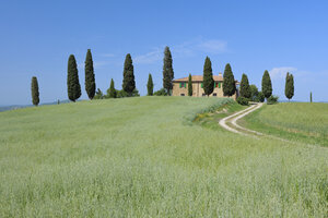 Italy, Tuscany, Siena Province, Val d'Orcia, Pienza, view to dirt road through fields with farmhouse and cypress trees - RUEF001193