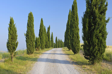 Italien, Toskana, Provinz Siena, Crete Senesi, Blick auf Italien, Toskana, Provinz Siena, Crete Senesi, Blick auf den von Zypressen gesäumten Feldweg - RUEF001194