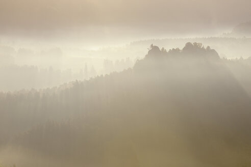 Deutschland, Sachsen, Nationalpark Sächsische Schweiz, Elbsandsteingebirge, Blick vom Basteigebiet zum Wald bei Sonnenaufgang - RUEF001203