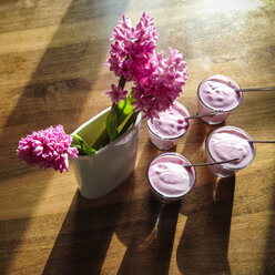 Hyacinth (Hyacinthus) in vase, natural yoghurt with berries, dessert, dining table made of walnut, Studio, Germany - WDF002279