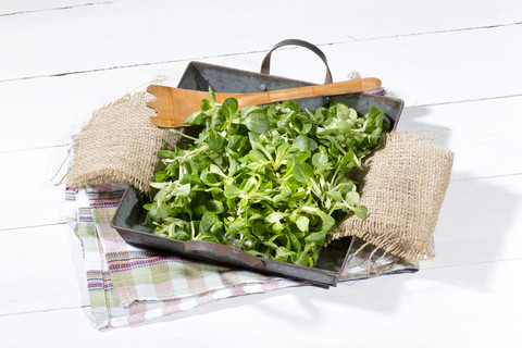 Feldsalat (Valerianella) in einer Schale, lizenzfreies Stockfoto