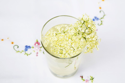 Selbstgemachte Holunderlimonade und Holunderblüten (Sambucus) in einem Trinkglas, Nahaufnahme, lizenzfreies Stockfoto