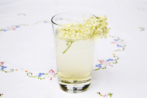 Selbstgemachte Holunderlimonade und Holunderblüten (Sambucus) in einem Trinkglas, Nahaufnahme, lizenzfreies Stockfoto