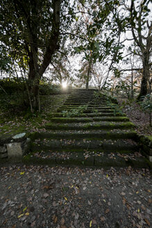 Italy, Rome, Stairs in parc - KAF000110