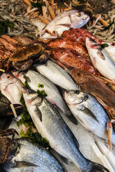 Italien, Gaeta, Frischer Fisch auf dem Fischmarkt, Nahaufnahme - KAF000101