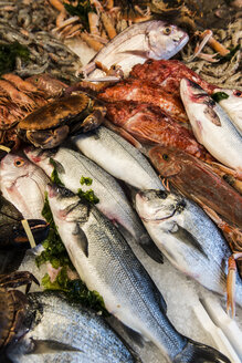 Italy, Gaeta, Fresh fish at fishmarket, close up - KAF000101