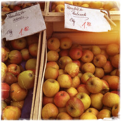 Germany, Baden-Wuerttemberg, Tuebingen, weekly market, apples - LVF000638