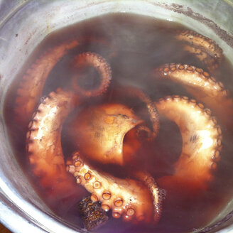 octopus cooking in a pot, Rome, Italy - KAF000106