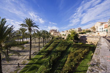 Spain, Majorca, Palma, Cityscape - THAF000073