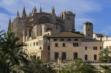 Spain, Majorca, Palma, Cathedral La Seu - THAF000060