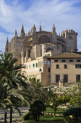 Spain, Majorca, Palma, Cathedral La Seu - THAF000061