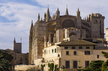 Spain, Majorca, Palma, Cathedral La Seu - THAF000062