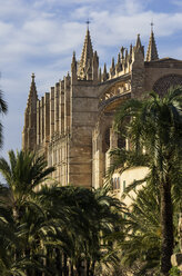 Spain, Majorca, Palma, Cathedral La Seu - THAF000066