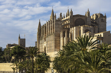 Spain, Majorca, Palma, Cathedral La Seu - THAF000067