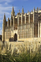 Spanien, Mallorca, Palma, Kathedrale La Seu - THAF000068
