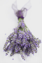 Lavender (Lavendula), bunch - GWF002549