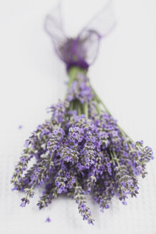 Lavendel (Lavendula), Strauß - GWF002549