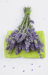 Lavendel (Lavendula) auf Handtuch, Wellness - GWF002550