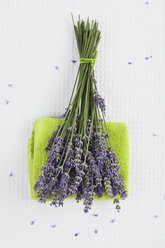 Lavendel (Lavendula) auf Handtuch, Wellness - GWF002551