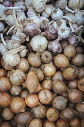 Germany, Baden-Wuerttemberg, Freiburg, vegetable market, Garlic (Allium sativum) and onions (Allium cepa) - ELF000846