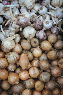 Deutschland, Baden Württemberg, Freiburg, Gemüsemarkt, Knoblauch (Allium sativum) und Zwiebeln (Allium cepa) - ELF000846