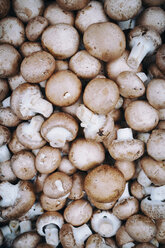 Deutschland, Baden Württemberg, Freiburg, Gemüsemarkt, Champignons (Agaricus) - ELF000853