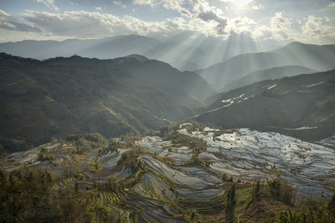 China, Yunnan, Yuanyang, Reisterrassen, lizenzfreies Stockfoto