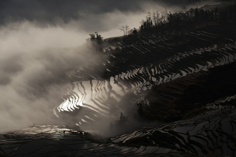 China, Yunnan, Yuanyang, Overcast rice terraces stock photo