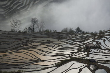 China, Yunnan, Yuanyang, Bewölkte Reisterrassen - JBA000092