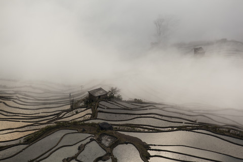 China, Yunnan, Yuanyang, Bewölkte Reisterrassen, lizenzfreies Stockfoto